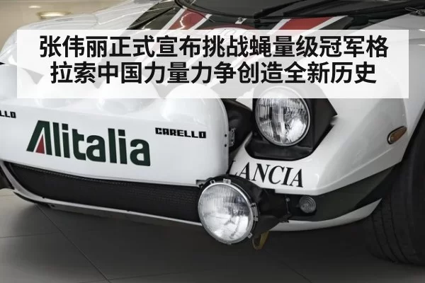 张伟丽正式宣布挑战蝇量级冠军格拉索中国力量力争创造全新历史